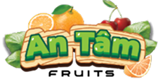 AN TÂM FRUITS | GIỎ QUÀ TRÁI CÂY GIÁ TỐT THỦ ĐỨC