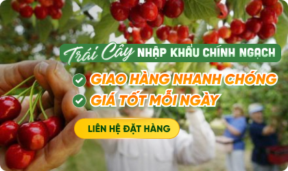 Trái cây nhập khẩu chính ngạch An Tâm Fruits