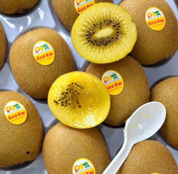 KIWI VÀNG ĐÀI LOAN 