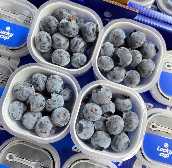 VIỆT QUẤT 60GRAM 1LY