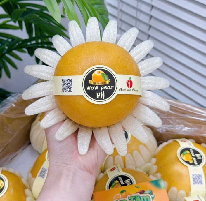 LÊ NÂU 1KG