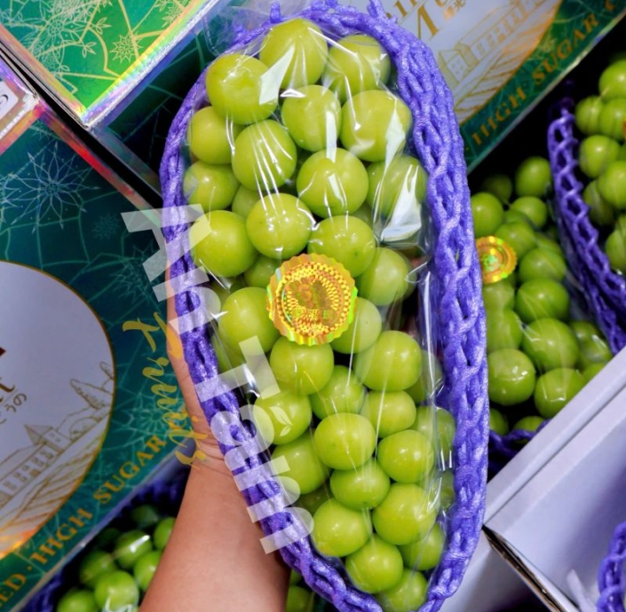 NHO MẪU ĐƠN SHINE MUSCAT CHÙM