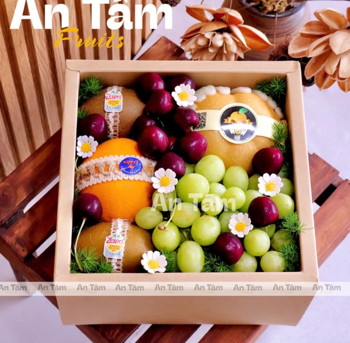 HỘP TRAI9S CÂY BESTSELLER MIX TRÁI