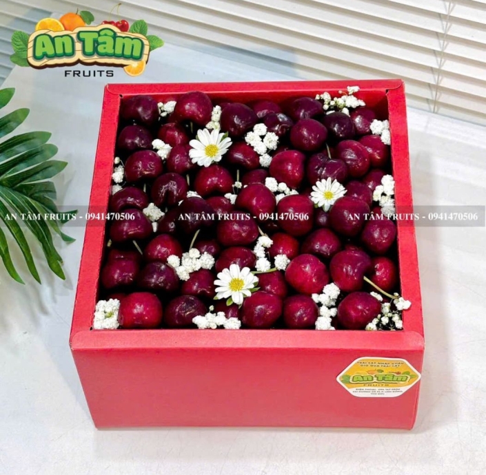 HỘP TRÁI CÂY 2KG CHERRY MỸ BIẾU TẶNG SIÊU SANG