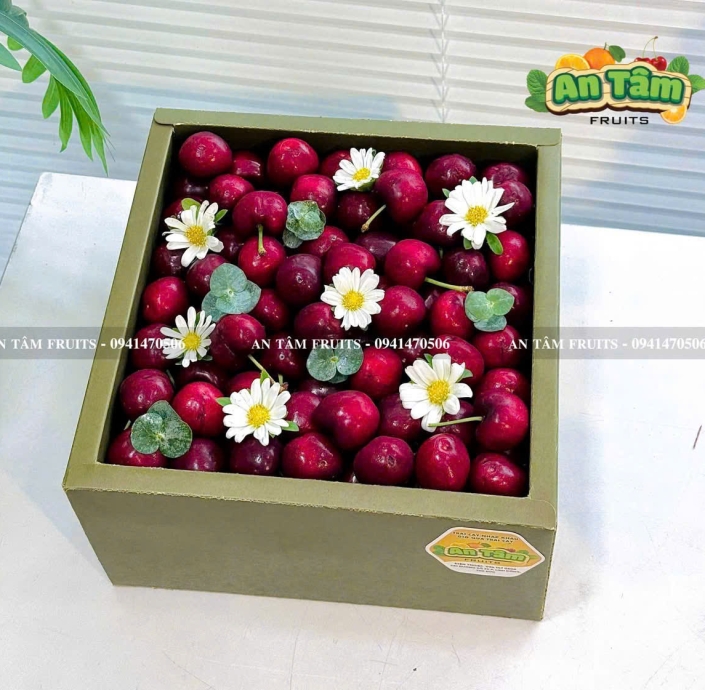 HỘP TRÁI CÂY 2KG CHERRY MỸ
