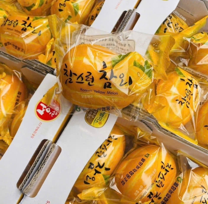 DƯA LÊ HÀN QUỐC 200gram ĐẾN 250gram 