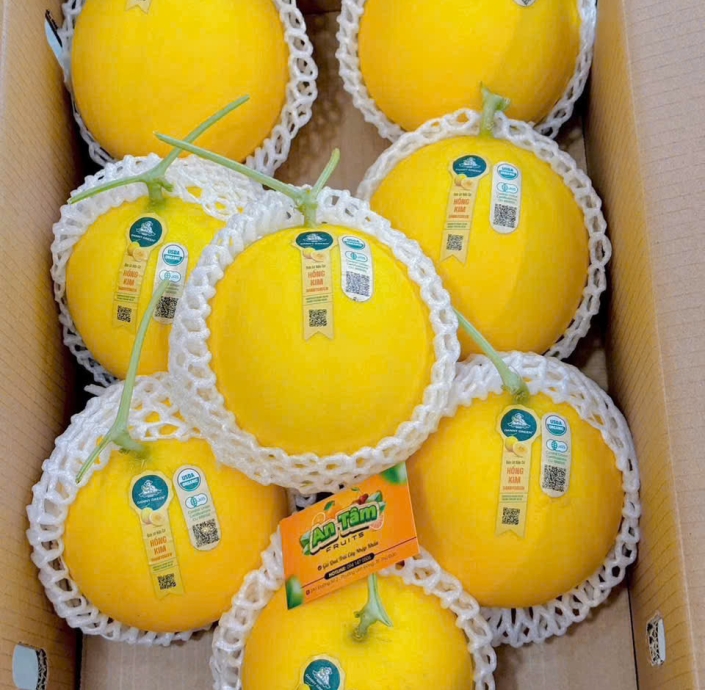  DƯA LÊ HỒNG KIM RUỘT VÀNG DANNY GREEN