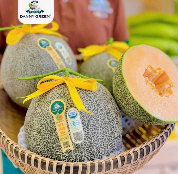 DƯA LƯỚI BIỂN HẰNG NGA RUỘT CAM DANNY GREEN