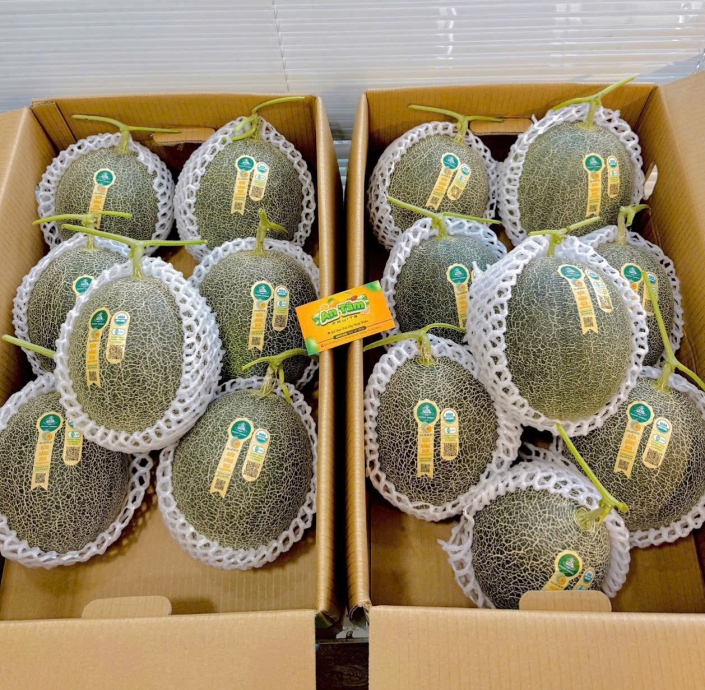 DƯA LƯỚI BIỂN HẰNG NGA RUỘT CAM DANNY GREEN