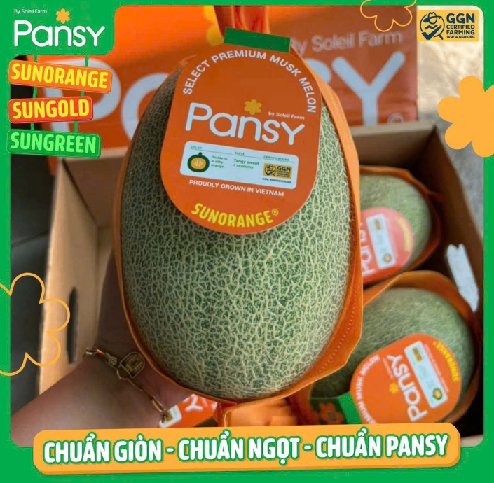 DƯA LƯỚI RUỘT CAM PANSY 