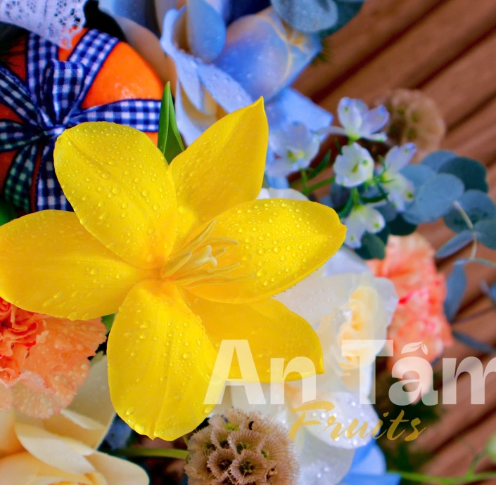 GIỎ TRÁI CÂY PHỐI HOA 2 BÊN HIỆN ĐẠI CẢM ƠN BÁC SĨ