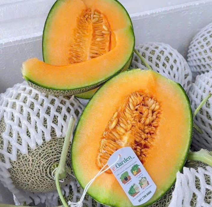 GREEN DƯA LƯỚI MẬT RUỘT CAM EGARDEN SIÊU NGỌT 