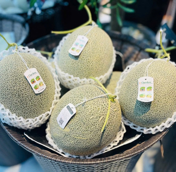 GREEN DƯA LƯỚI MẬT RUỘT CAM EGARDEN SIÊU NGỌT 