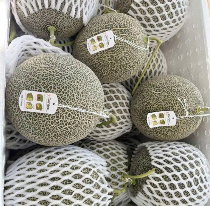 GREEN DƯA LƯỚI MẬT RUỘT CAM EGARDEN SIÊU NGỌT 