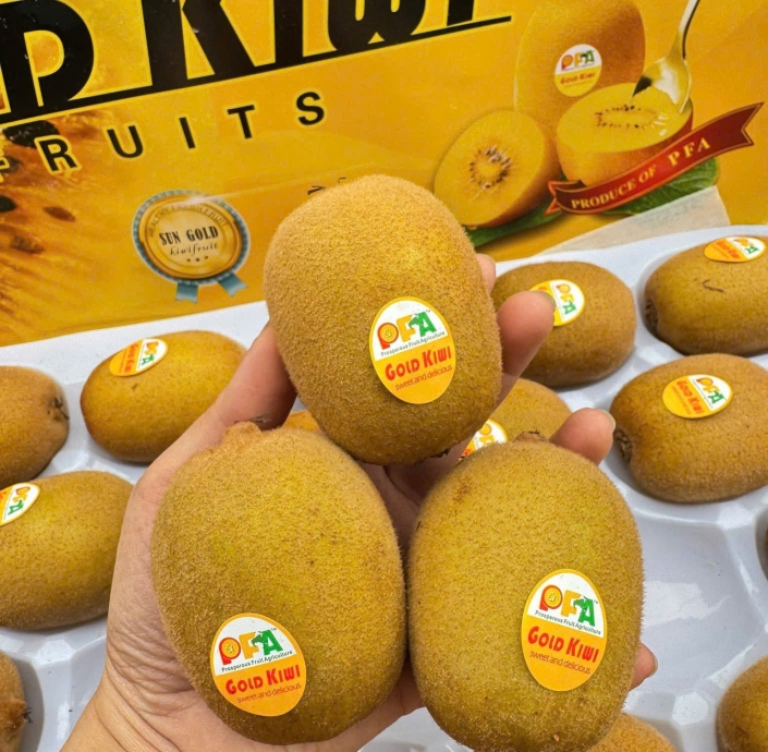 KIWI VÀNG ĐÀI LOAN 