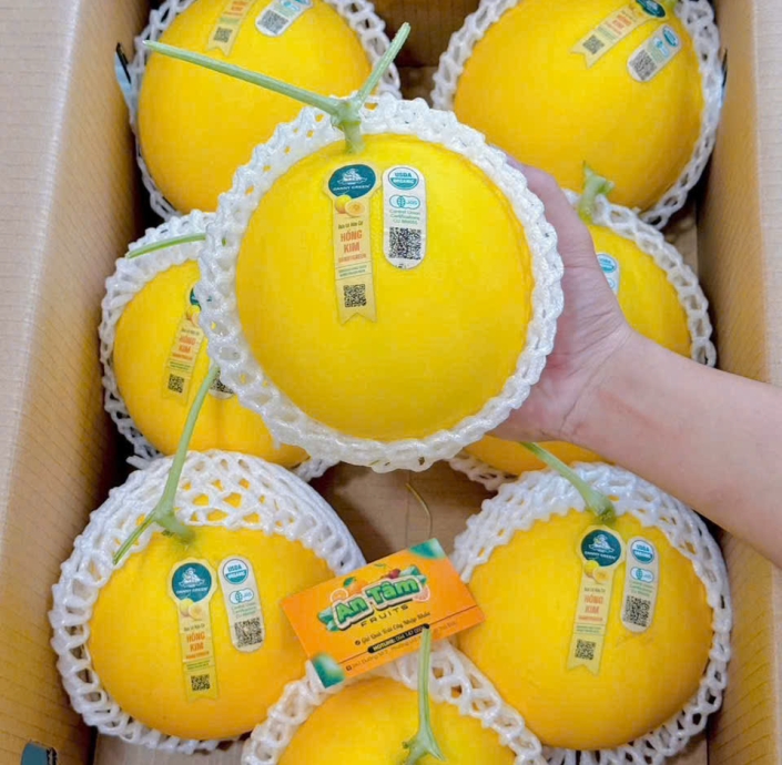  DƯA LÊ HỒNG KIM RUỘT VÀNG DANNY GREEN