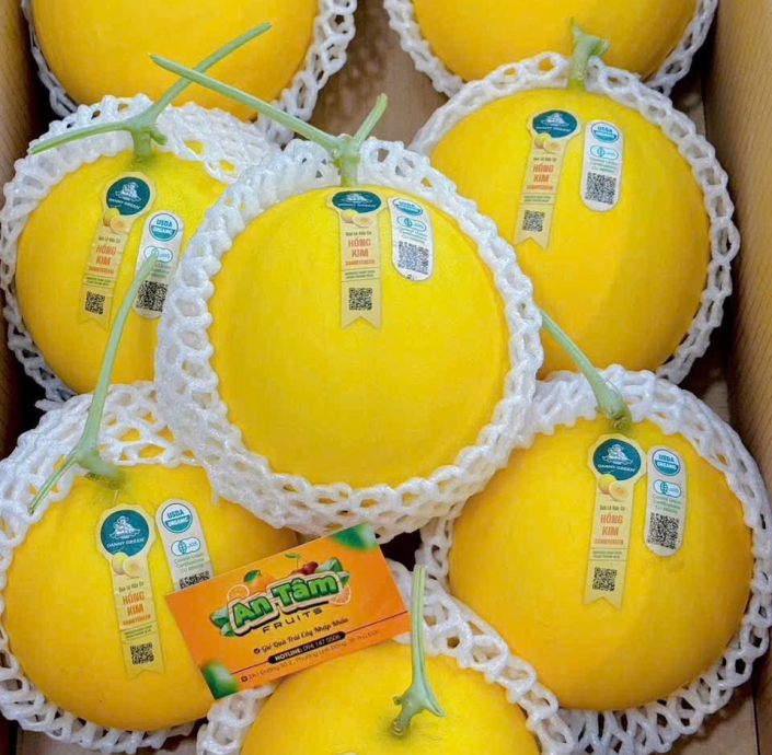  DƯA LÊ HỒNG KIM RUỘT VÀNG DANNY GREEN