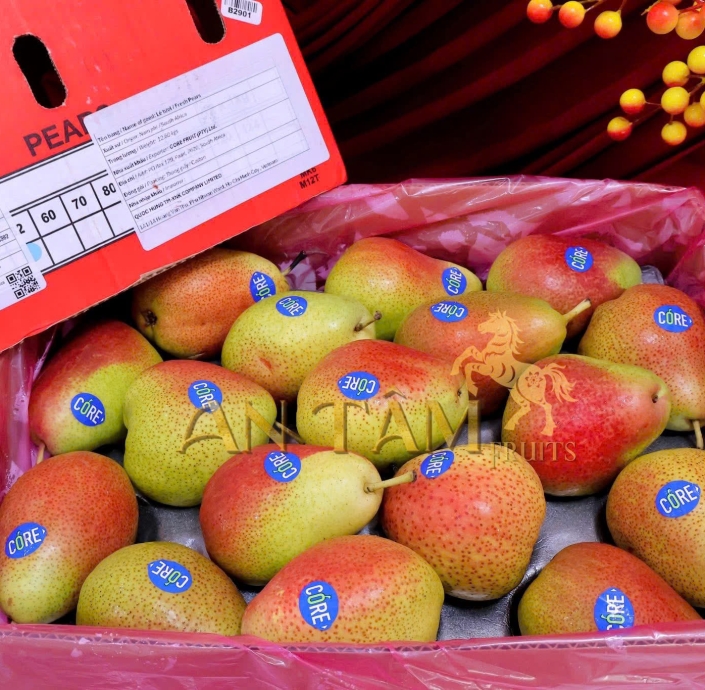 LÊ MÁ HỒNG NAM PHI 