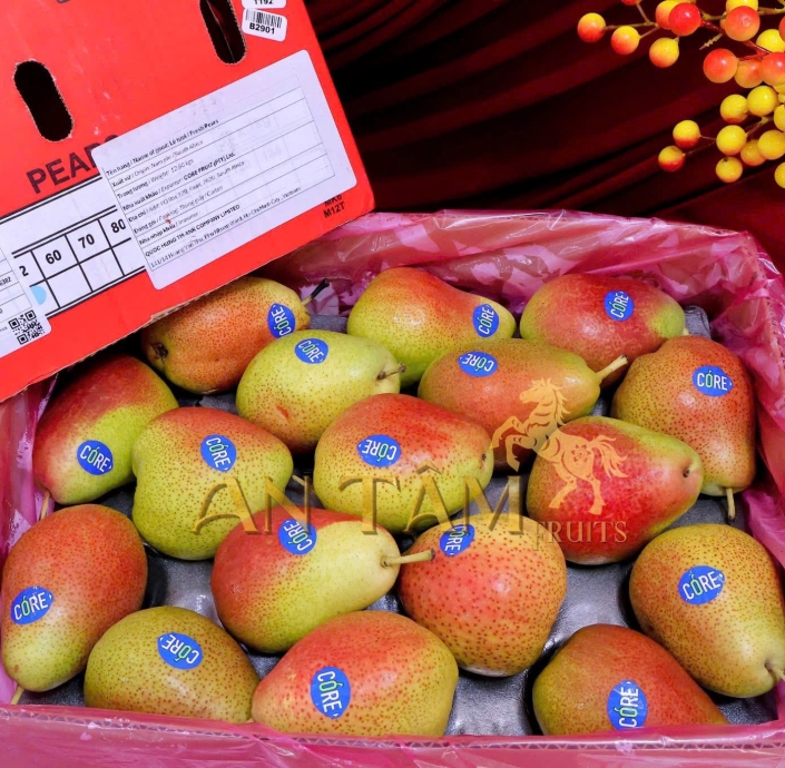 LÊ MÁ HỒNG NAM PHI 