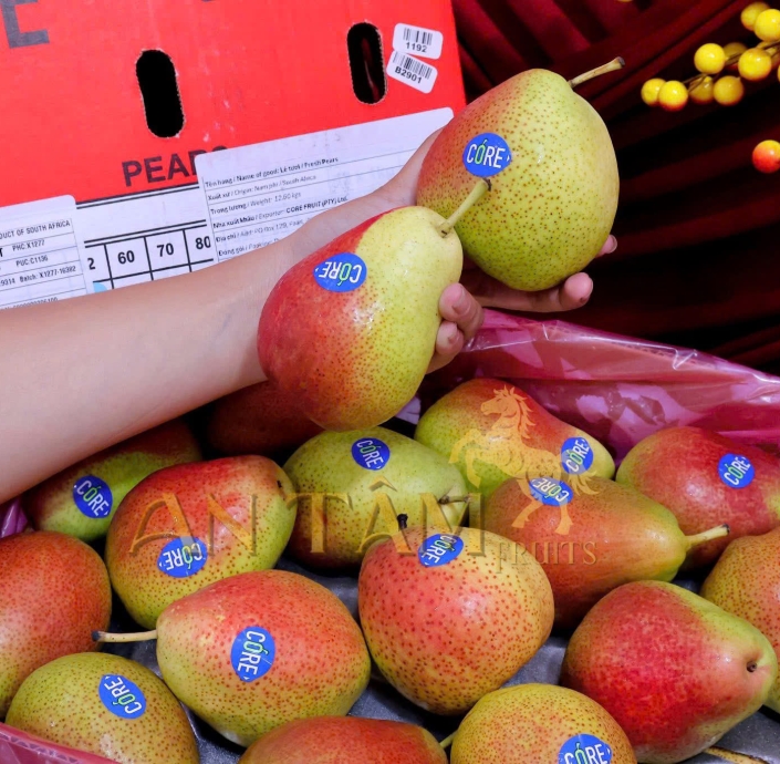 LÊ MÁ HỒNG NAM PHI 