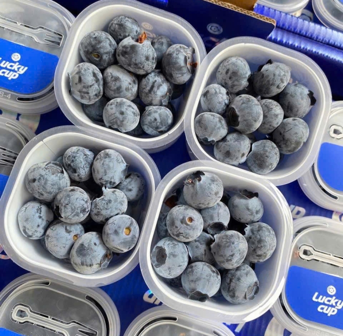 VIỆT QUẤT 60GRAM 1LY