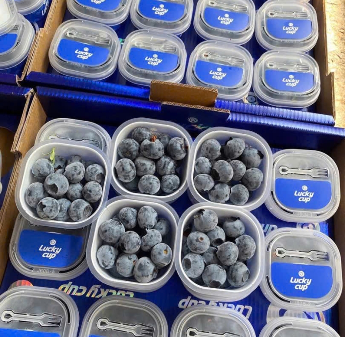 VIỆT QUẤT 60GRAM 1LY