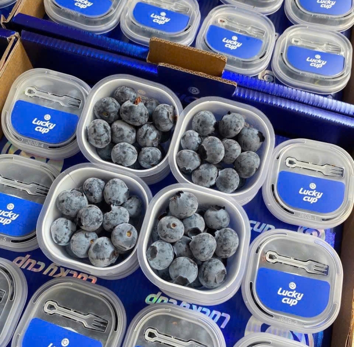 VIỆT QUẤT 60GRAM 1LY