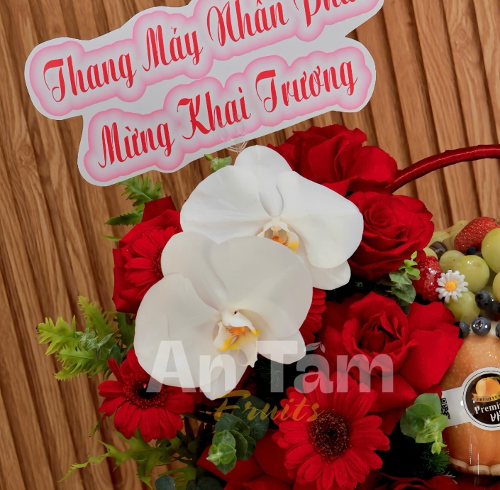 GIỎ TRÁI CÂY TONE ĐỎ CHÚC MỪNG KHAI TRƯƠNG