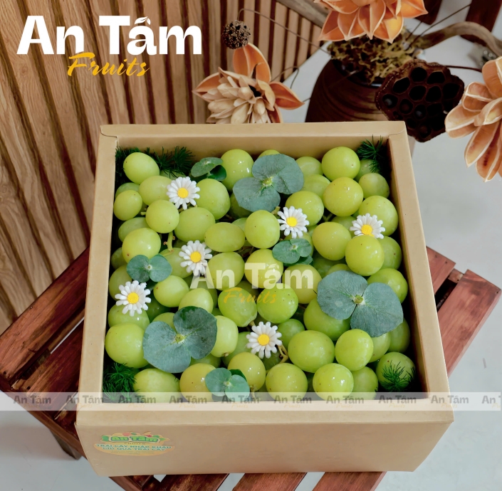 HỘP FULL 2 KG NHO XANH 