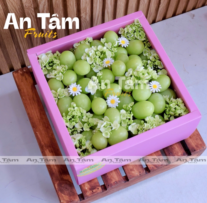 HỘP HỒNG 2KG NHO XANH GIÒN ÚC 