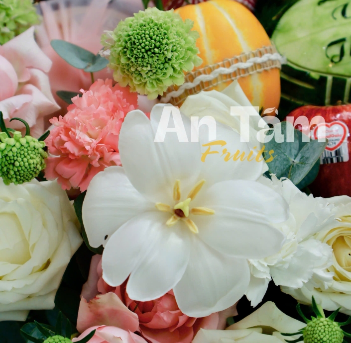 GIỎ DẠM NGÕ TONE HỒNG XINH XẮN NGỌT NGÀO 