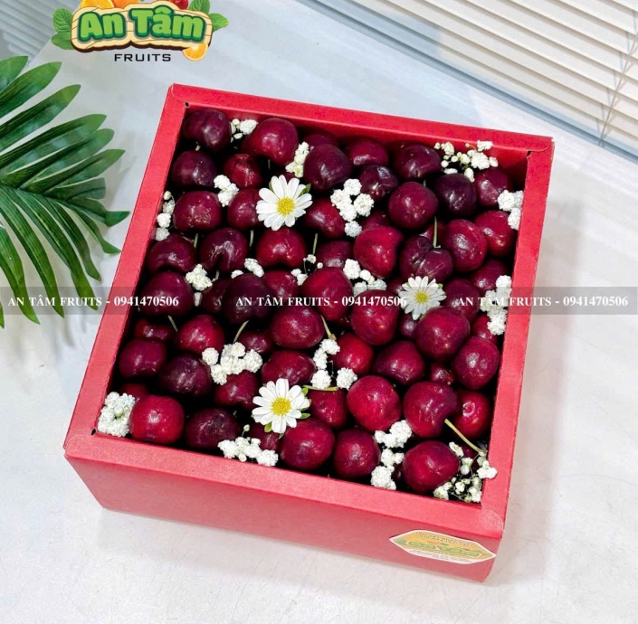 HỘP TRÁI CÂY 2KG CHERRY MỸ BIẾU TẶNG SIÊU SANG