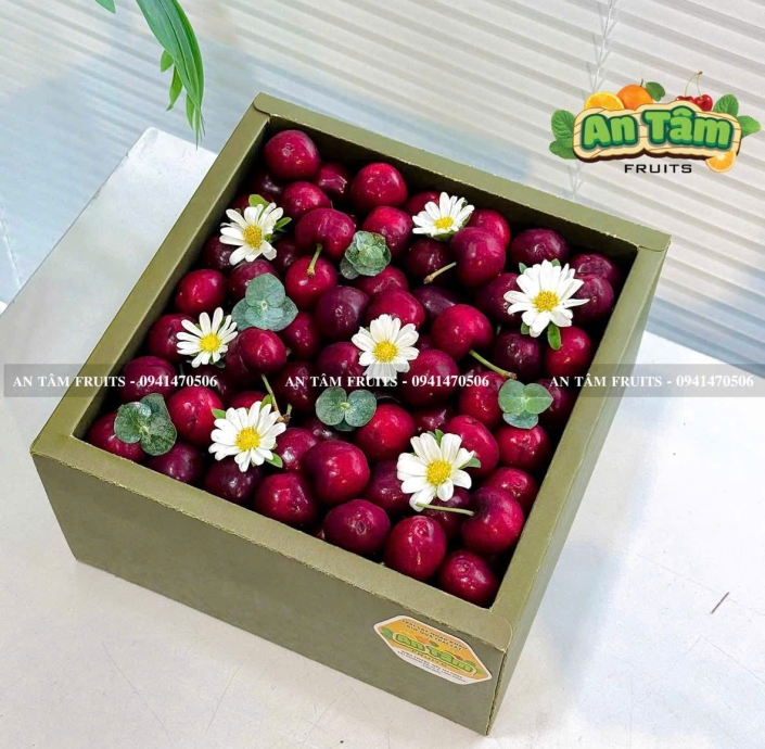 HỘP TRÁI CÂY 2KG CHERRY MỸ