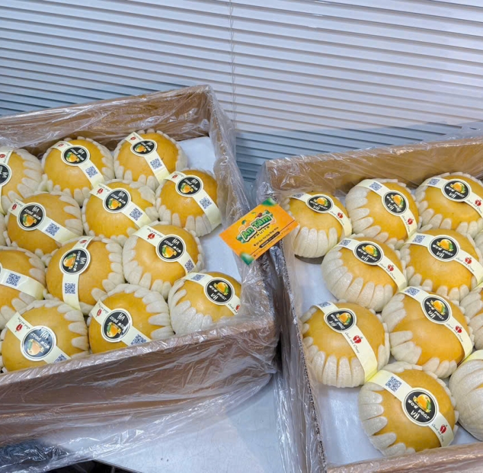 LÊ NÂU 1KG