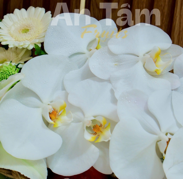 GIỎ TRÁI CÂY KÍNH VIẾNG PHỐI HOA SIÊU CHẤT LƯỢNG 
