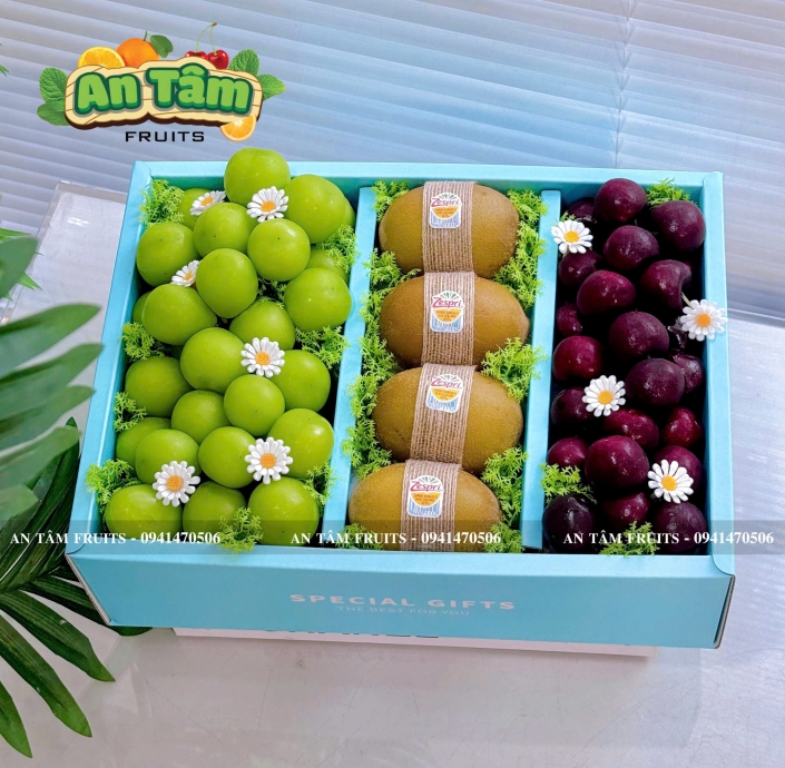 HỘP TRÁI CÂY MIX 3 LOẠI TRÁI CÂY NHO KIWI VÀ CHERRY