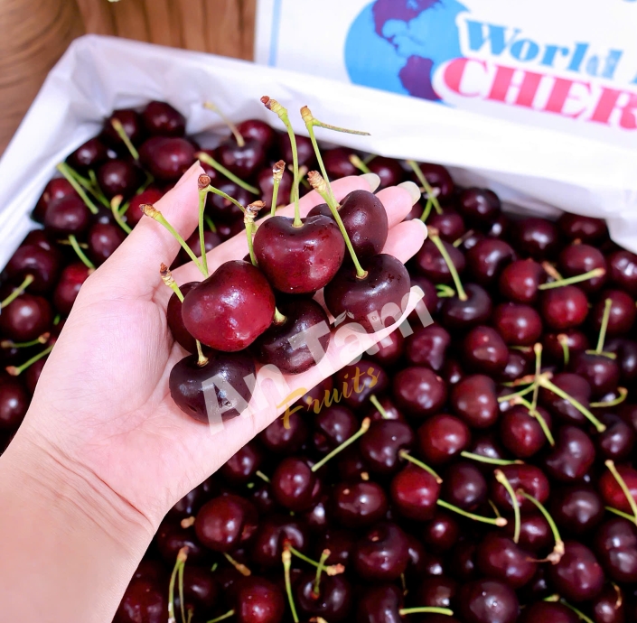 CHERRY MỸ STEMILT CHỦNG BLACK PEARL THEO THỜI GIÁ