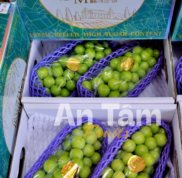 NHO MẪU ĐƠN SHINE MUSCAT CHÙM