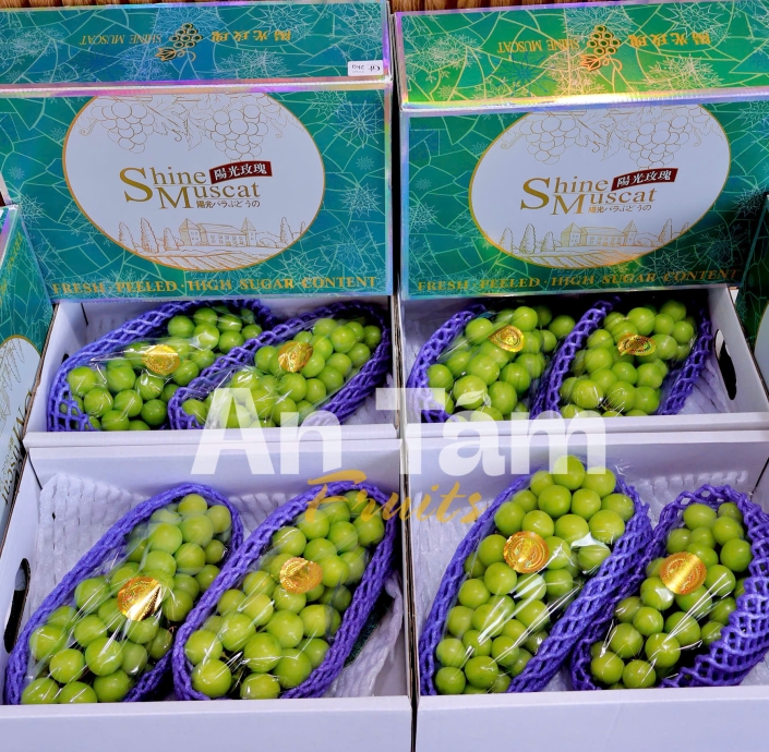 NHO MẪU ĐƠN SHINE MUSCAT CHÙM