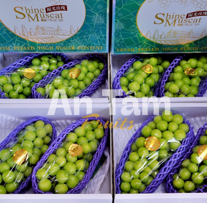NHO MẪU ĐƠN SHINE MUSCAT CHÙM