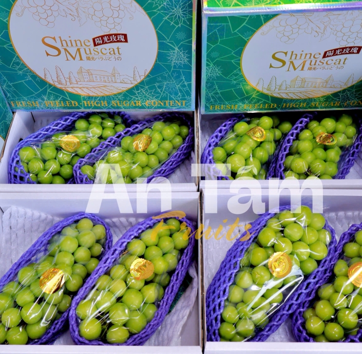 NHO MẪU ĐƠN SHINE MUSCAT CHÙM
