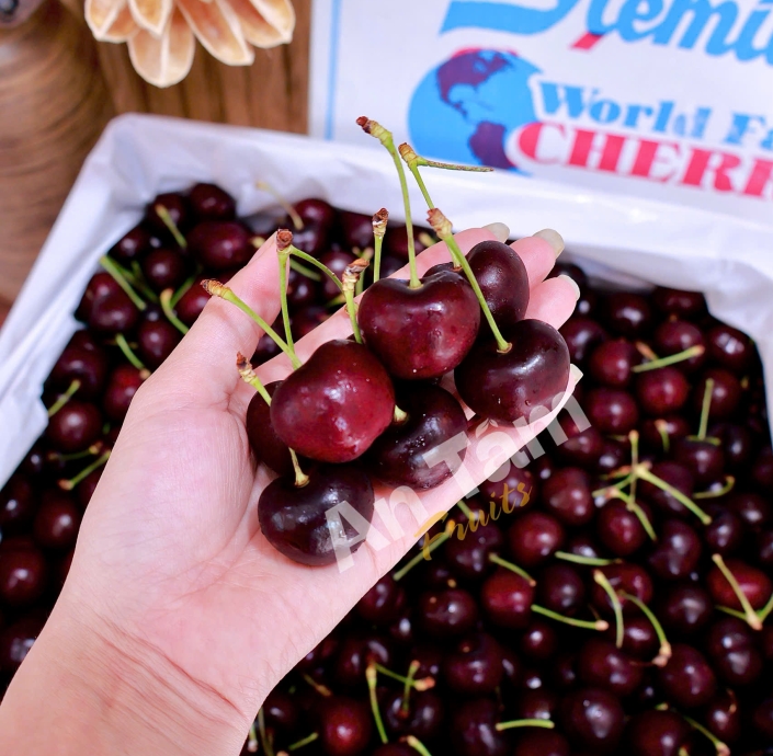 CHERRY MỸ STEMILT CHỦNG BLACK PEARL THEO THỜI GIÁ