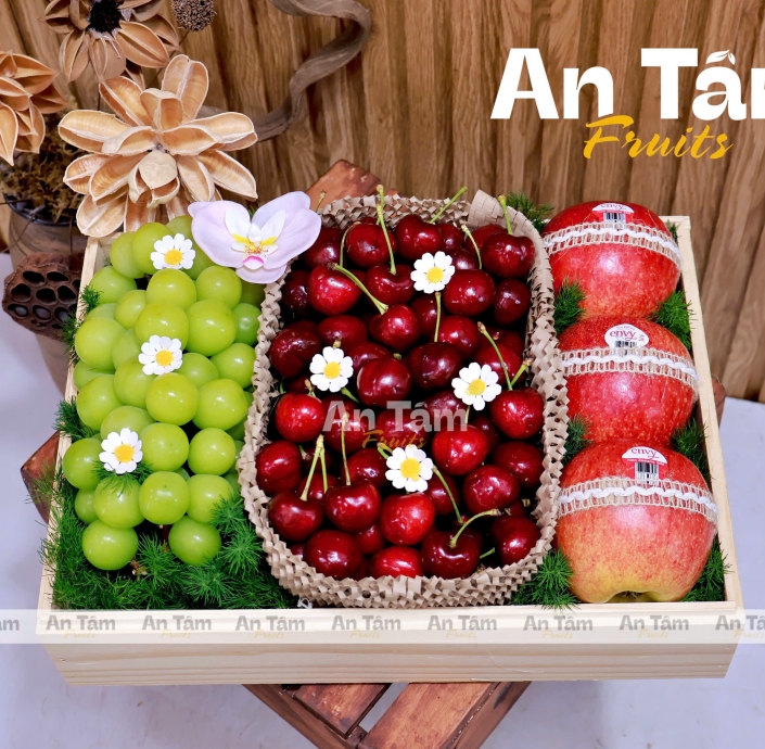 KHAY MICA MIX 3 LOẠI TRÁI NHO MẪU ĐƠN CHERRY MỸ TÁO ENVY NZL