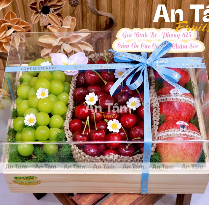 KHAY MICA MIX 3 LOẠI TRÁI NHO MẪU ĐƠN CHERRY MỸ TÁO ENVY NZL