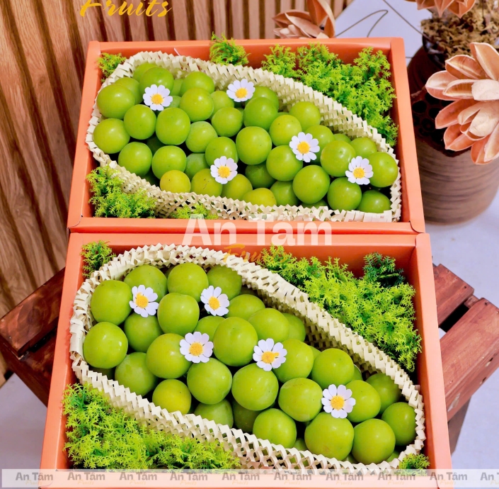BOX 1 CHÙM NHO MẪU ĐƠN SIZE VIP