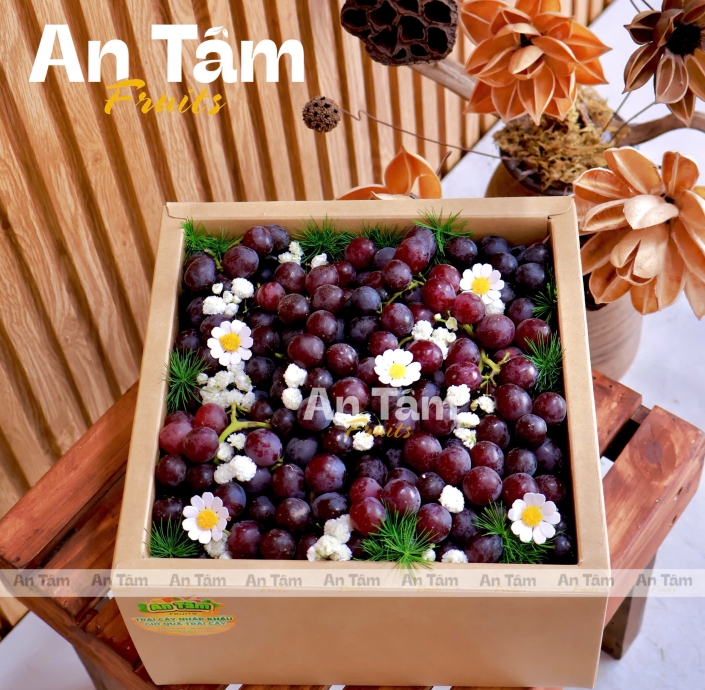 HỘP TRÁI CÂY MIX 2 HỘP NHO KẸO MỸ CANDY