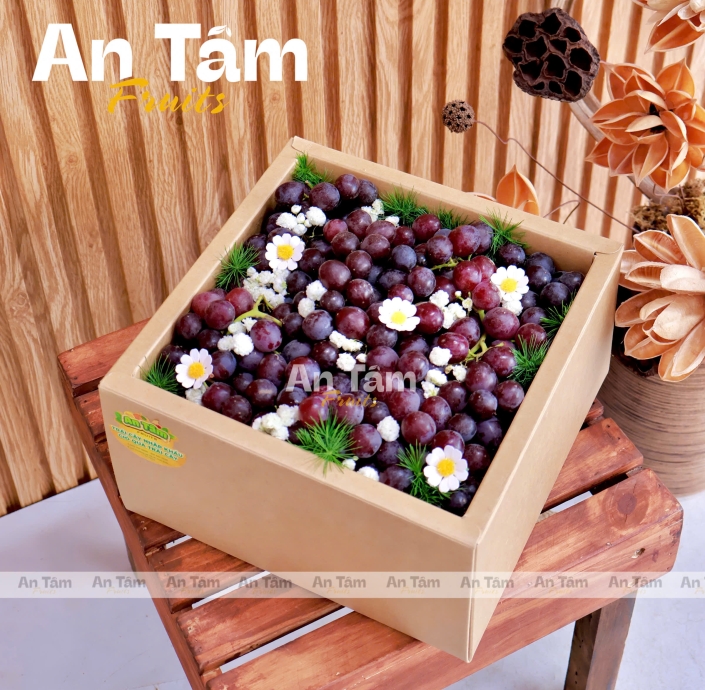 HỘP TRÁI CÂY MIX 2 HỘP NHO KẸO MỸ CANDY