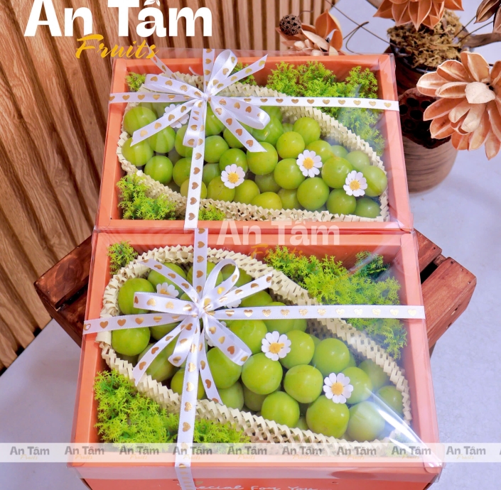 BOX 1 CHÙM NHO MẪU ĐƠN SIZE VIP
