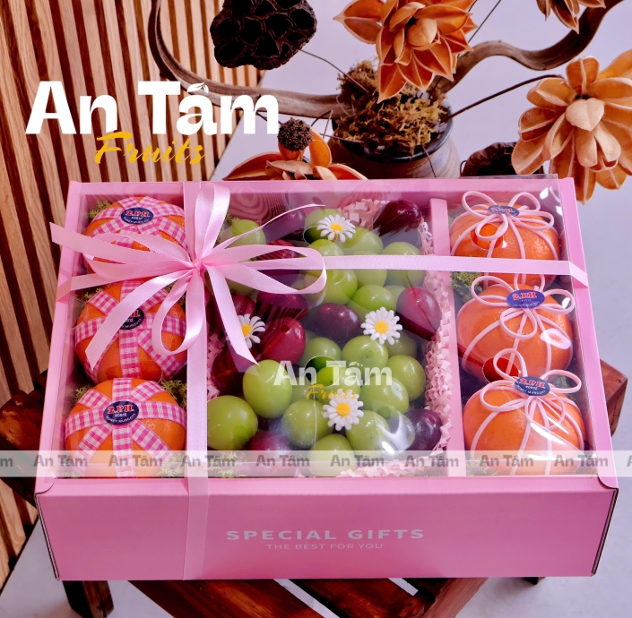 HỘP TRÁI CÂY MIX 3 LOẠI TRÁI QUÝT ÚC CHERRY MỸ VÀ NHO MẪU ĐƠN