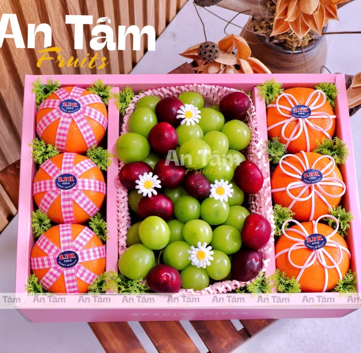 HỘP TRÁI CÂY MIX 3 LOẠI TRÁI QUÝT ÚC CHERRY MỸ VÀ NHO MẪU ĐƠN